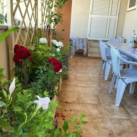 Il Fenicottero Rosa