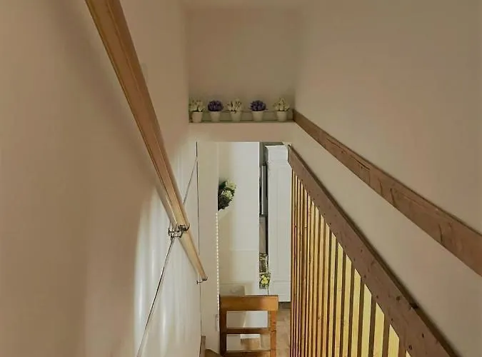 Bed & Breakfast Il Fenicottero Rosa *